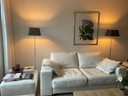 Natuzzi Couch