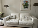 Natuzzi Couch