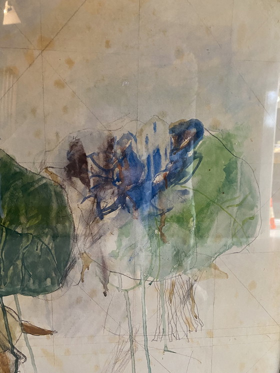 Image 1 of Bruno Bruni – Fiore