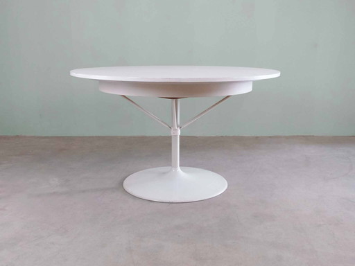 Vintage Tulip Esstisch MidCentury 