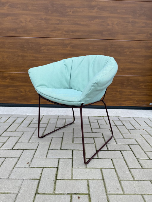 6 Label Vandenberg Duke Outdoor-Stühle