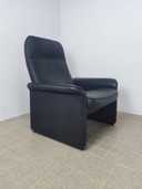 De Sede Ds-50 Schwarz Loungesessel