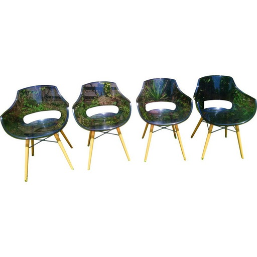 Set aus 4 Vintage Opal Wox Stühlen aus Polykarbonat und Buchenholzuntergestellen