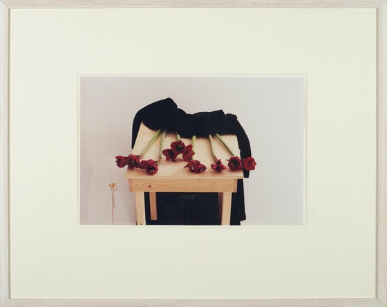 Image 1 of Das Leben ist kurz