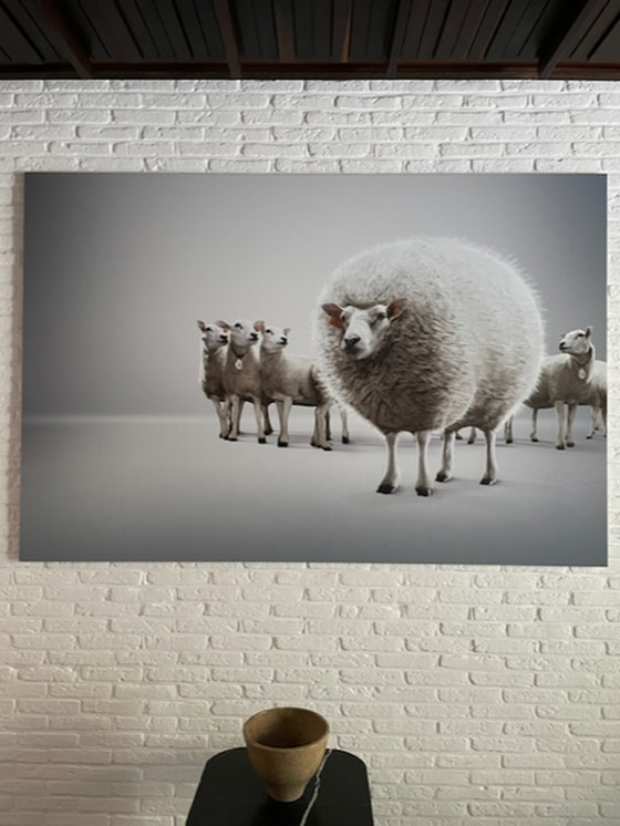 Image 1 of Lieven Dircks Fotografie