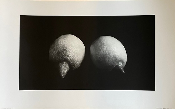 Image 1 of Sabine Kacunko, Out Of Sight I, 2000, Copyright Sabine Kacunko, Printed In Germany