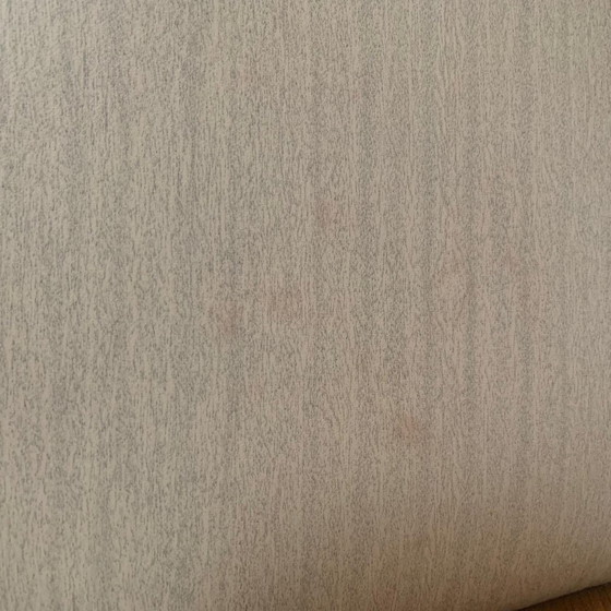 Image 1 of Esszimmerstühle von Carlo Ratti für Legni Curvati