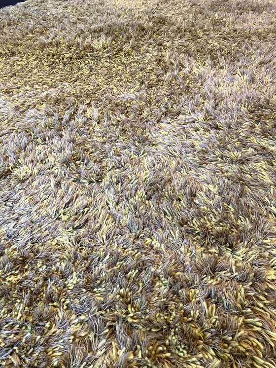 Image 1 of Christine Müller Danskina Bravour