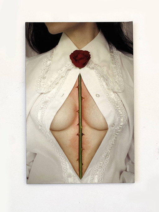 Dornen von Iness Rychlik Fine Art Photo