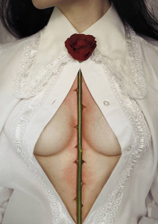 Dornen von Iness Rychlik Fine Art Photo