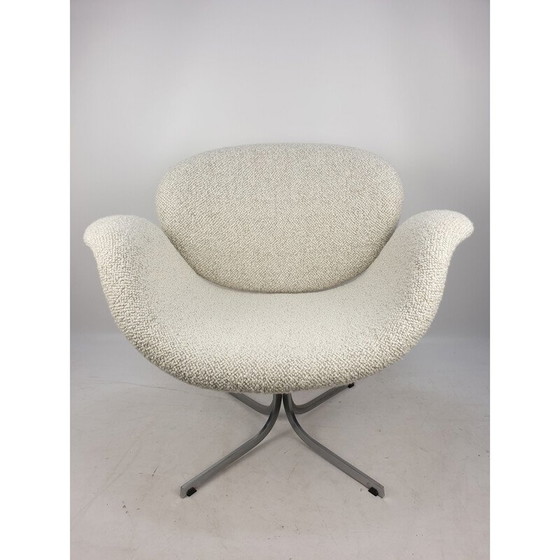 Image 1 of Vintage Tulip Chair von Pierre Paulin für Artifort, 1960er Jahre