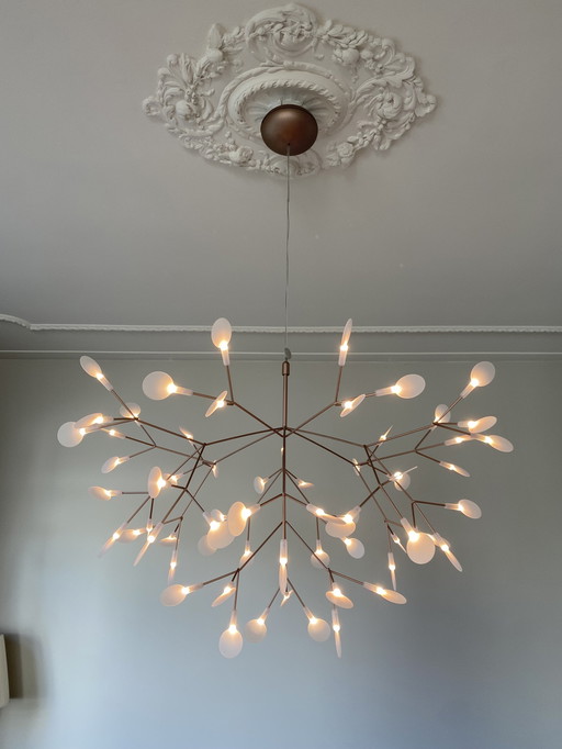 Moooi Heracleum II Pendelleuchte Kupfer Groß