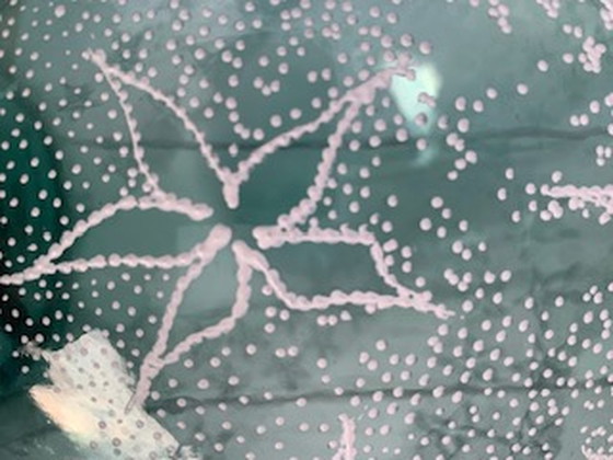 Image 1 of Dame-Jeanne-Vase