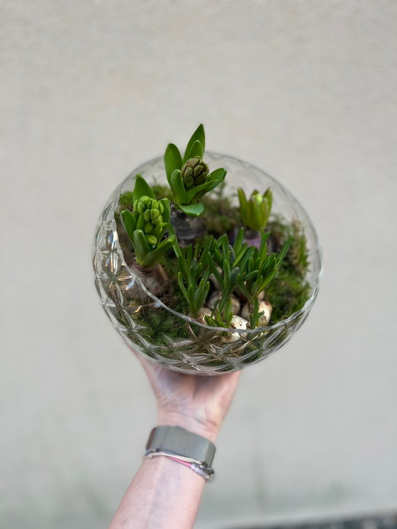 Image 1 of Skloglass Dahlia-Schale