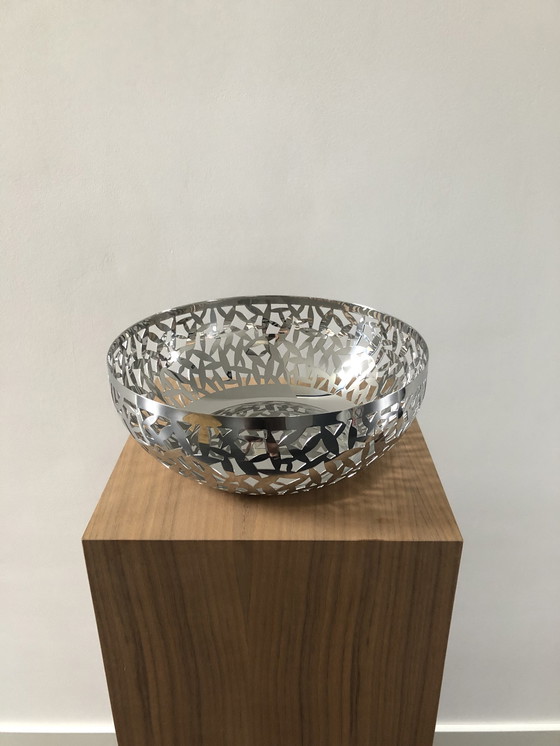 Image 1 of Alessi Schale Kaktus neu.