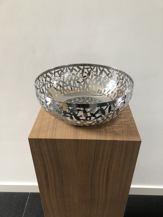 Image 1 of Alessi Schale Kaktus neu.