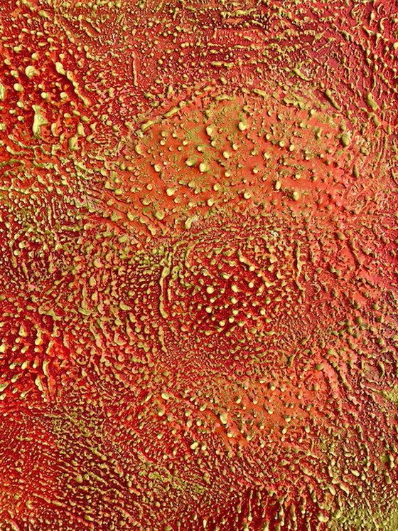 Image 1 of Gabriele Styppa - Malerei Enkaustik