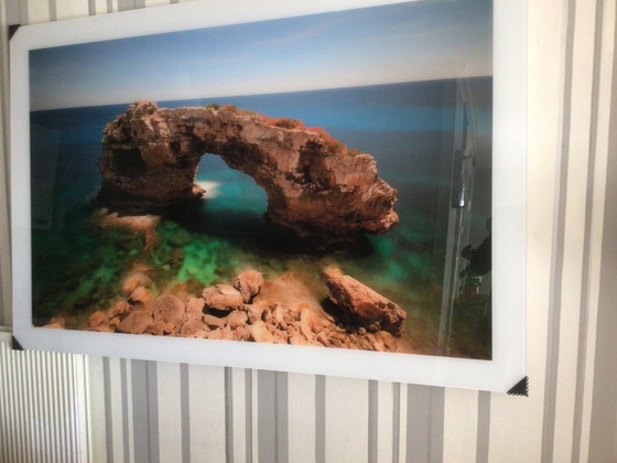 Image 1 of Kobra Kunst