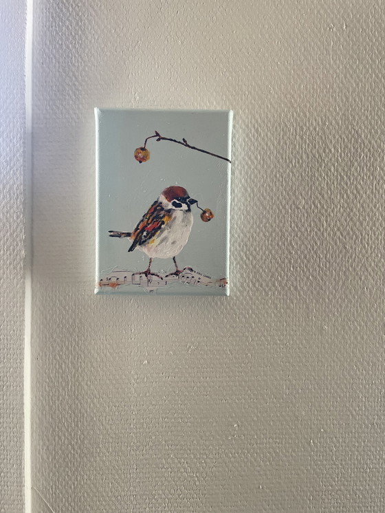 Image 1 of Porträt eines Spatzen