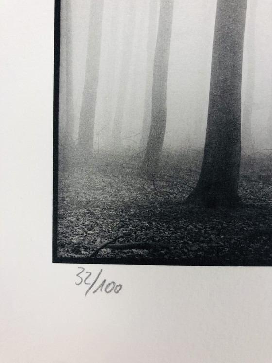 Image 1 of Ralph Janowski – Fotodruck