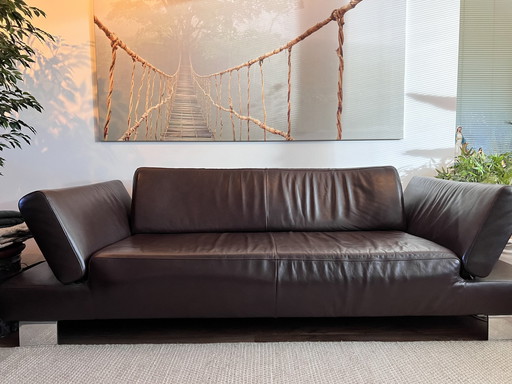 Leder Design Sofa von Willi Schillig