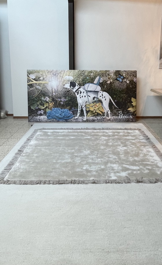 Image 1 of Leolux Frame Teppich Stein