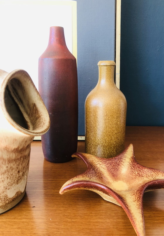 Image 1 of Seesternschale von Roberto Rigon