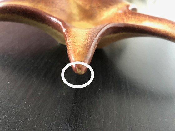 Image 1 of Seesternschale von Roberto Rigon