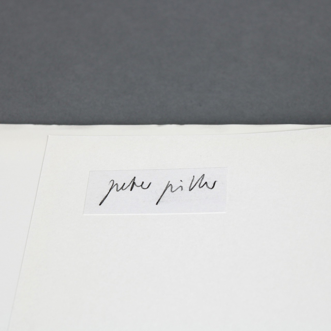 洋書 peter piller  von erde schoner schoner  洋書 piller peter erde von