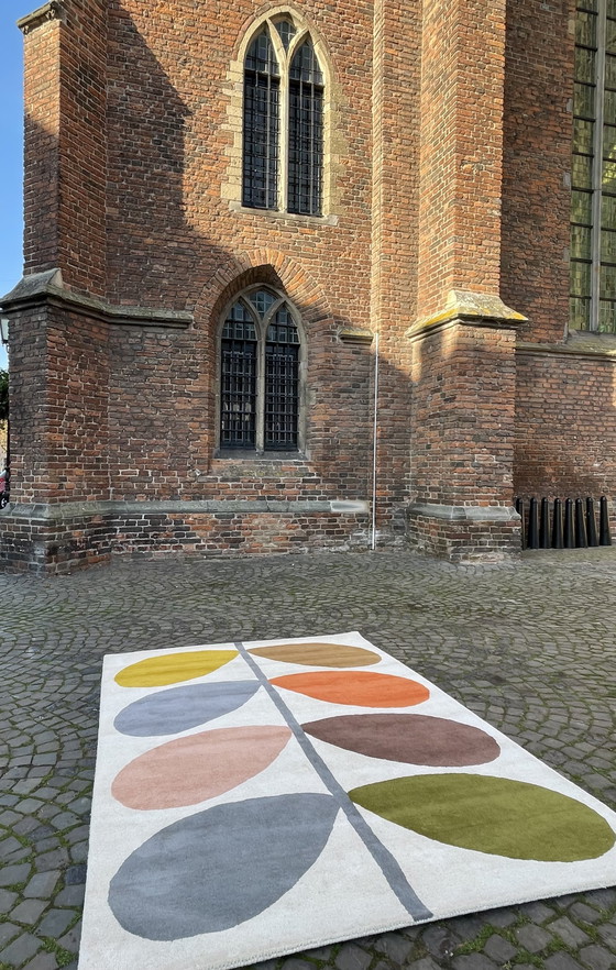 Image 1 of Teppich von Brink und Campman Orla Kiely