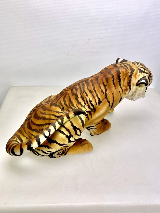 Image 1 of Tiger von C. Martinu