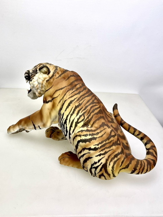 Image 1 of Tiger von C. Martinu