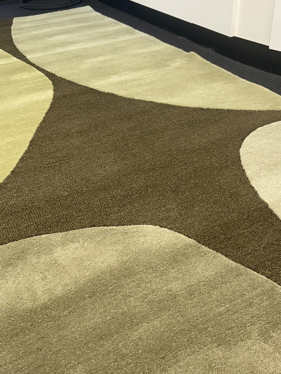 Image 1 of Brink & Campman Dekor Moos Plateau Moos Teppich 2 X 280