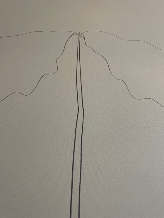 Image 1 of Ellsworth Kelly (1923-2015), Chêne, 1964, Copyright E.Kelly & Sabam 2004, Gedruckt in Belgien