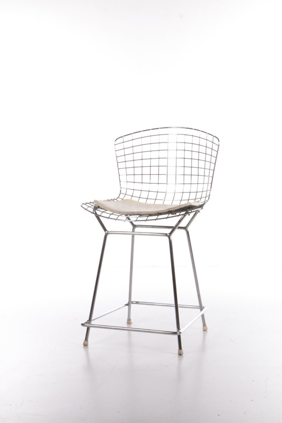 Image 1 of Knoll Bertoia Barhocker mit schönem Originalpolster, 1970