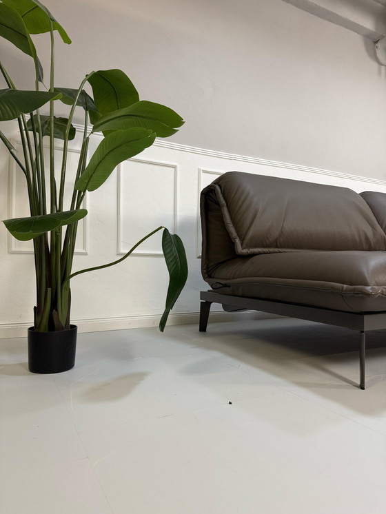 Image 1 of Rolf Benz Nova Designer Sofa Leder Braun Schlaffunktion Gästebett