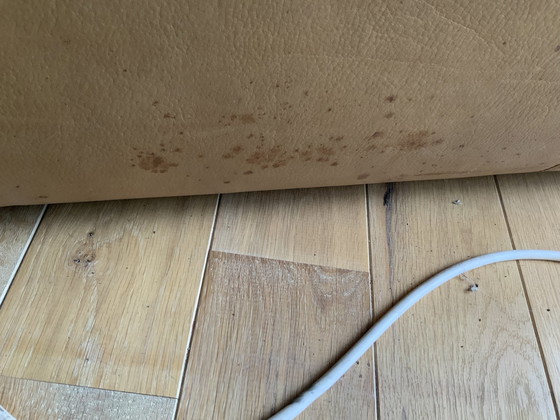 Image 1 of Leolux-Sofa Typ 760