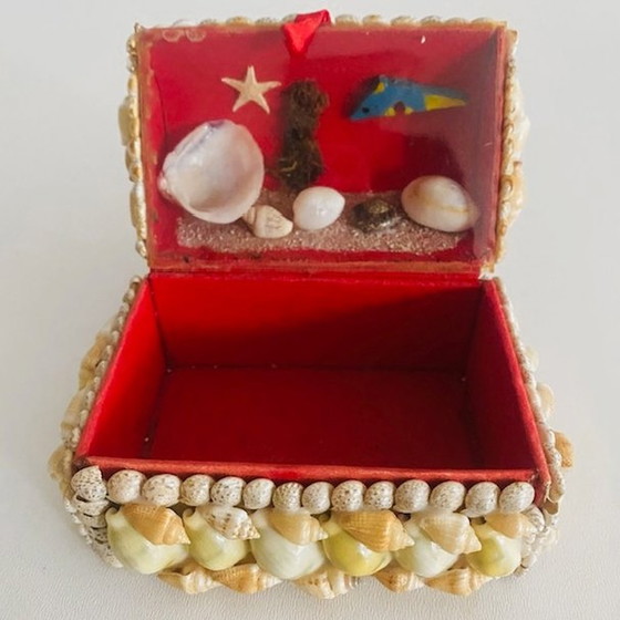 Image 1 of Muschel-Schmuckkästchen mit Aquarium