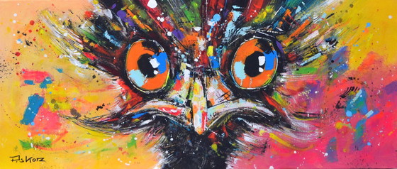 Image 1 of Piotr Piskorz - Glückspilz