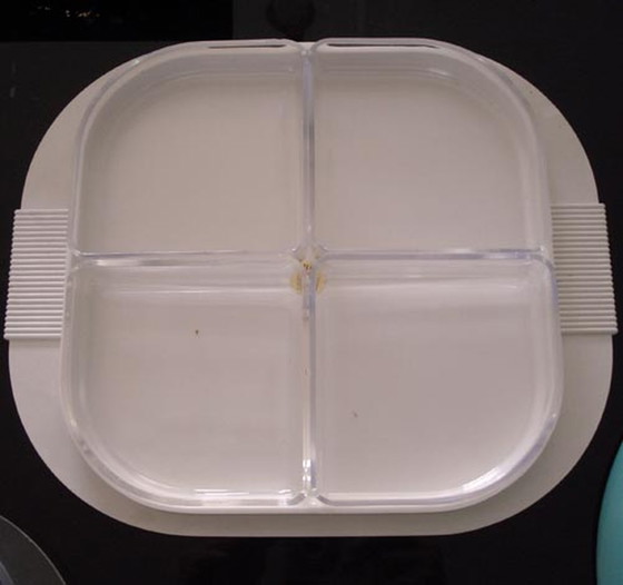 Image 1 of 3x IGuzini Servierschalen