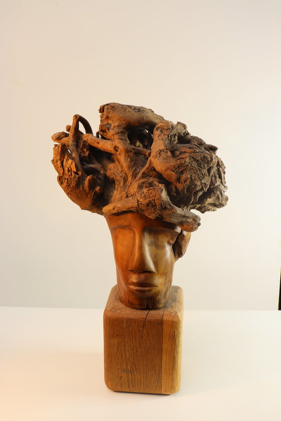 Image 1 of Martiene Stevens - die Gekrönte