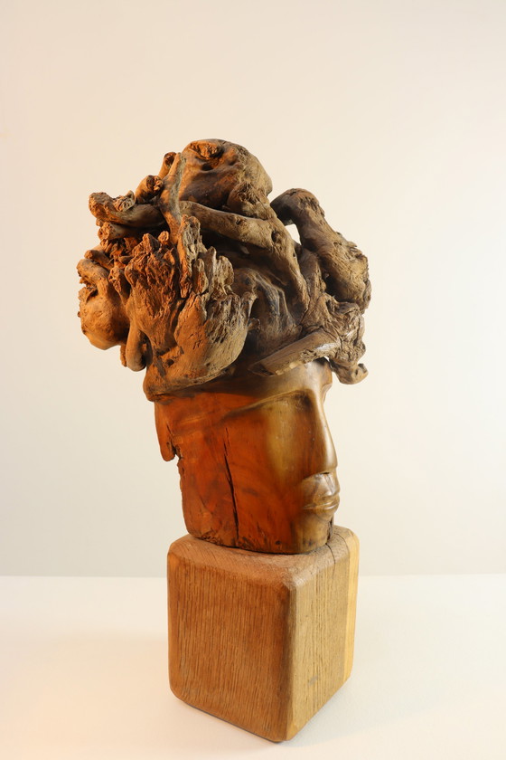 Image 1 of Martiene Stevens - die Gekrönte