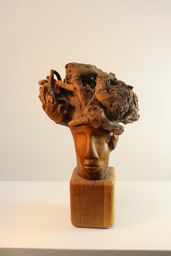 Image 1 of Martiene Stevens - die Gekrönte