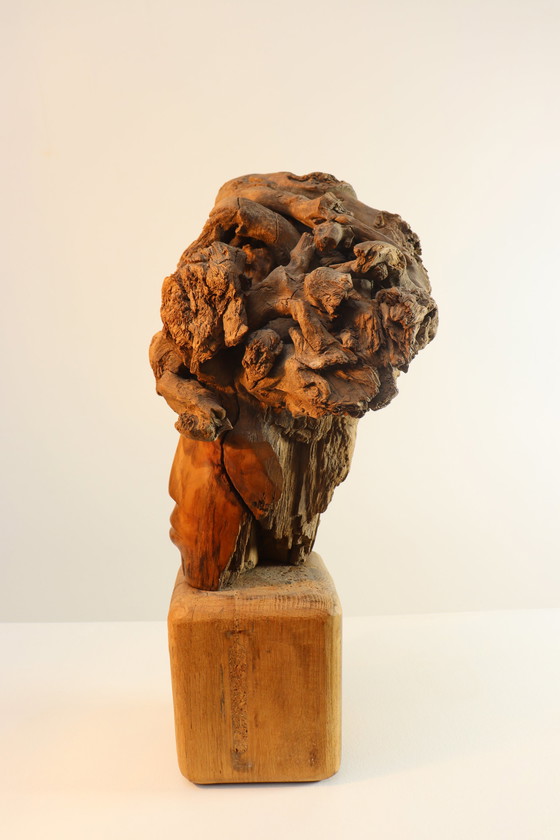 Image 1 of Martiene Stevens - die Gekrönte