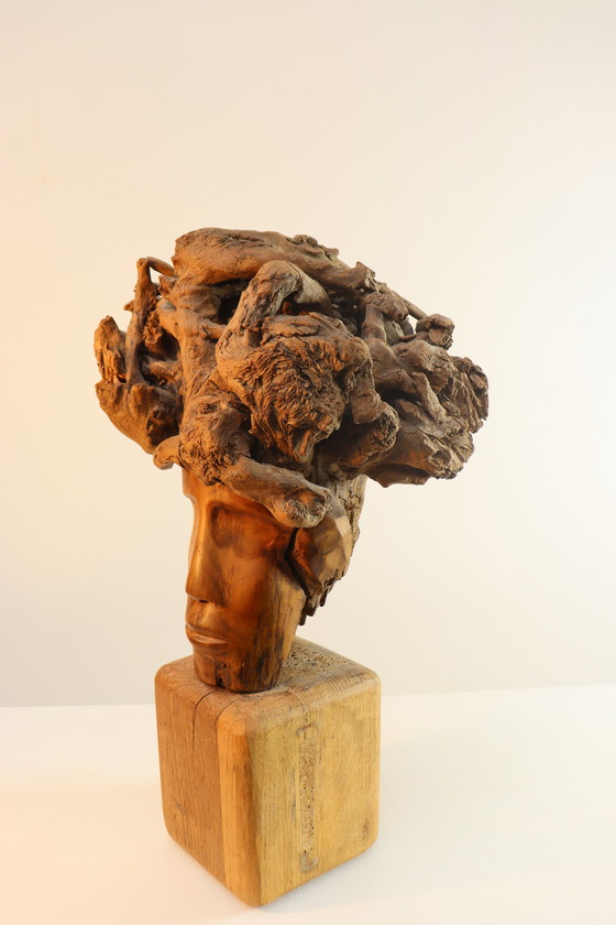 Image 1 of Martiene Stevens - die Gekrönte