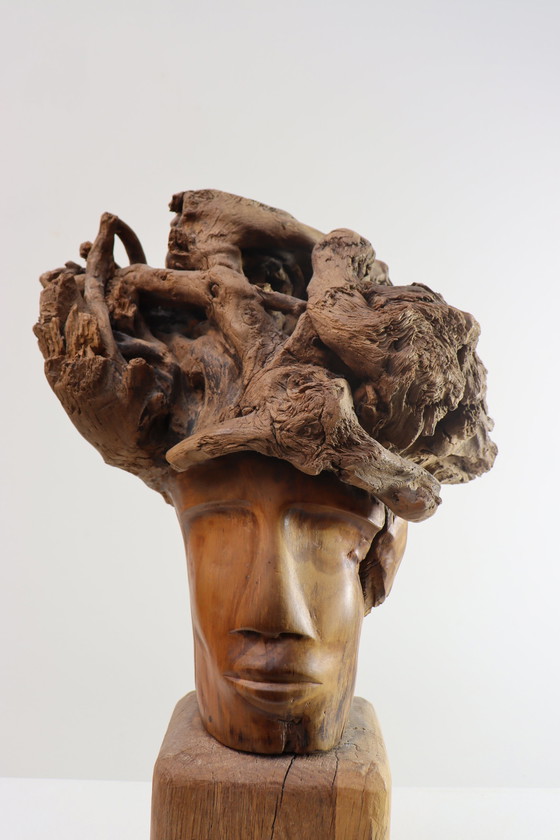 Image 1 of Martiene Stevens - die Gekrönte