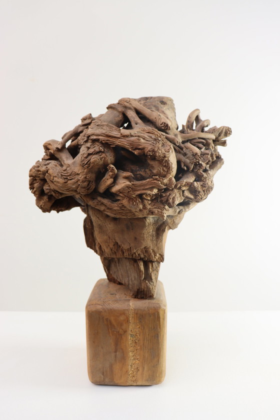 Image 1 of Martiene Stevens - die Gekrönte