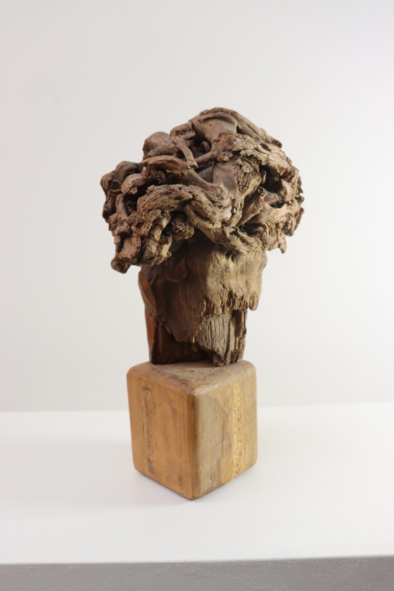 Image 1 of Martiene Stevens - die Gekrönte