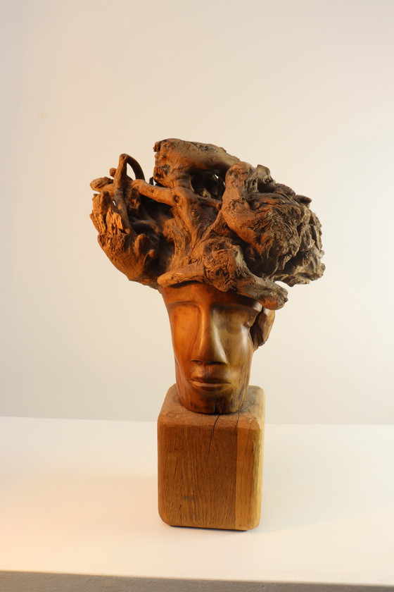 Image 1 of Martiene Stevens - die Gekrönte