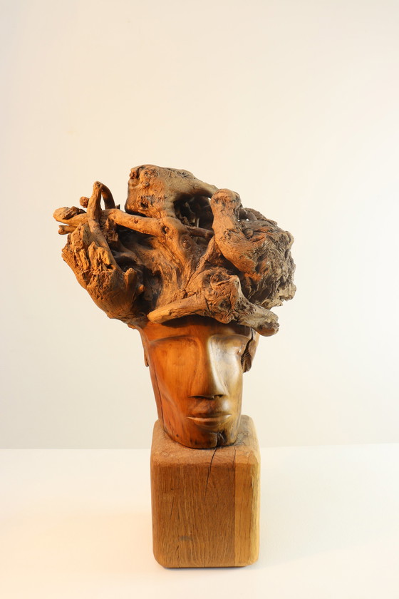 Image 1 of Martiene Stevens - die Gekrönte